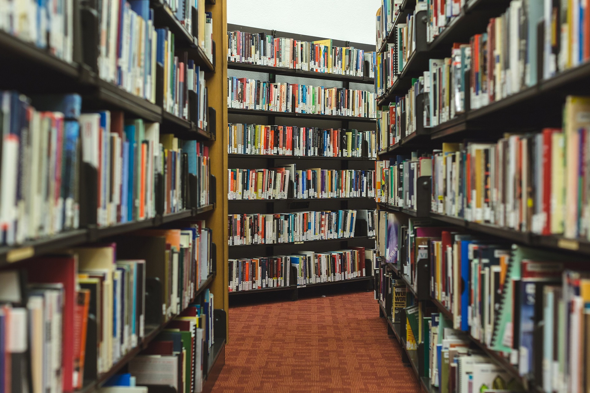 The Secret Life of Books What Your Bookshelf Isn’t Telling You